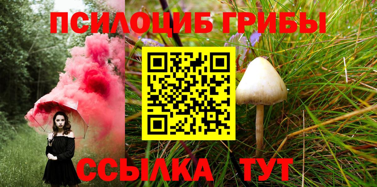 Псилоцибиновые грибы MAGIC MUSHROOMS  Псилоцибиновые грибы мухоморы  наркошоп  Вход с VPN  Бийск 